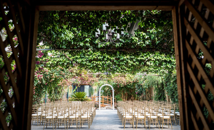 Outdoor wedding setup with chairs and a decorative archway under a lush green canopy.
