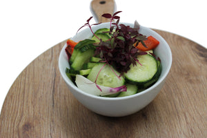 Cucumber Salad - PASSOVER - GF